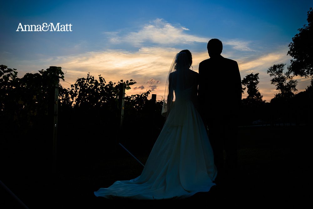 Anna and Matt's Vintager Inn Wedding